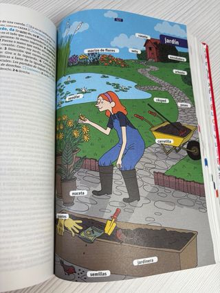 Diccionario Básico Primaria. Lengua española