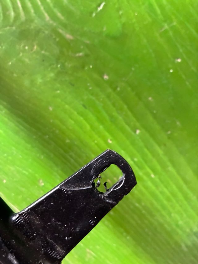 Transportín Vespa Chasis Grande Negro