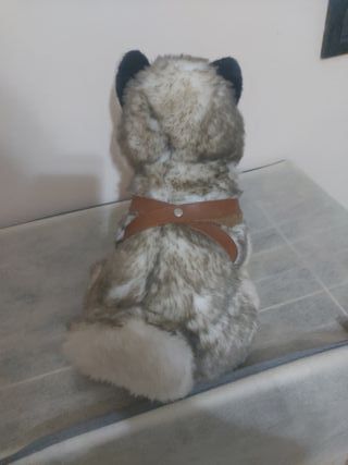 Peluche cane husky