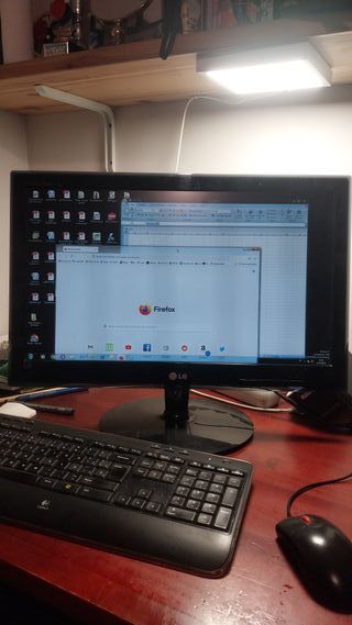 Monitor LG 21'' VGA para PC