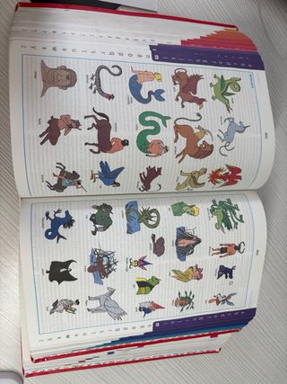 Diccionario Avanzado Primaria SM