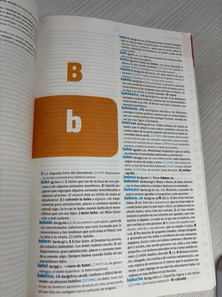 Diccionario Avanzado Primaria SM