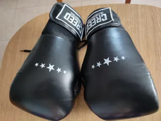 Pantalones y guantes boxeo Creed