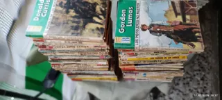 Vendo 148 Novelas del Oeste