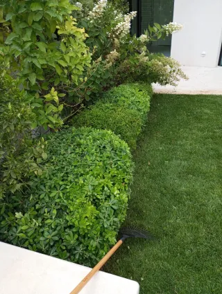 Servicios de Jardinería