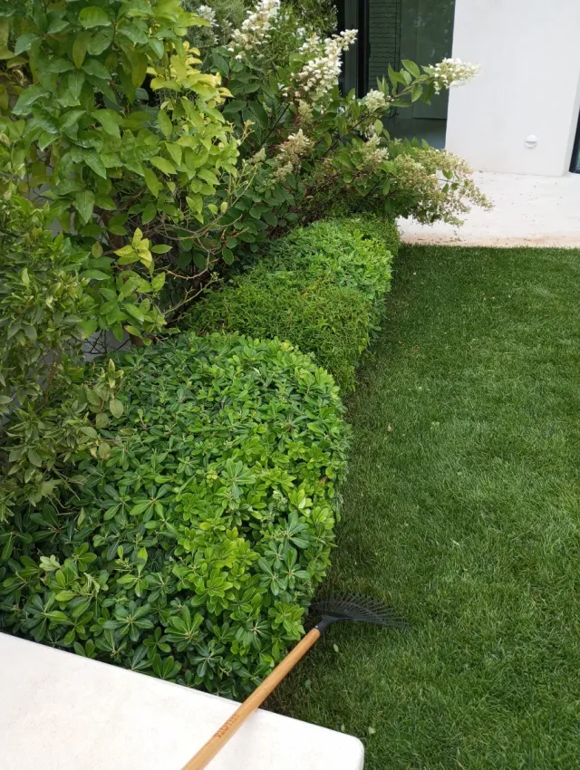 Servicios de Jardinería