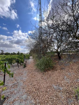 Parcela Rústica en Venta