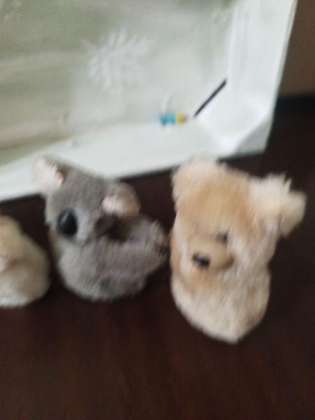 Lote 4 peluches: conejo, koala, oso