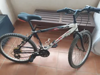 Bicicleta infantil 25 pulgadas