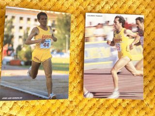 LOTE POSTALES ATLETAS CLUB LARIOS
