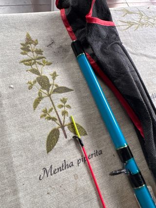 Caña Colmic Panter Tataki 2.40m