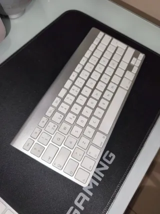 Teclado Apple Wireless Keyboard Plata