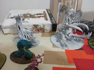 Pack sylvaneth Adrián 