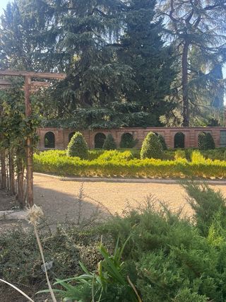 Podas y talas de árboles y jardines y desbroce 