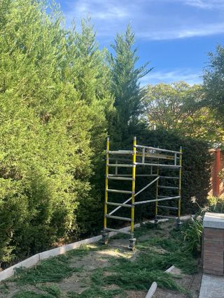 Podas y talas de árboles y jardines y desbroce 