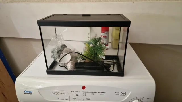 Pecera de cristal y plástico