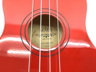 ukelele maui sunny 10-rd