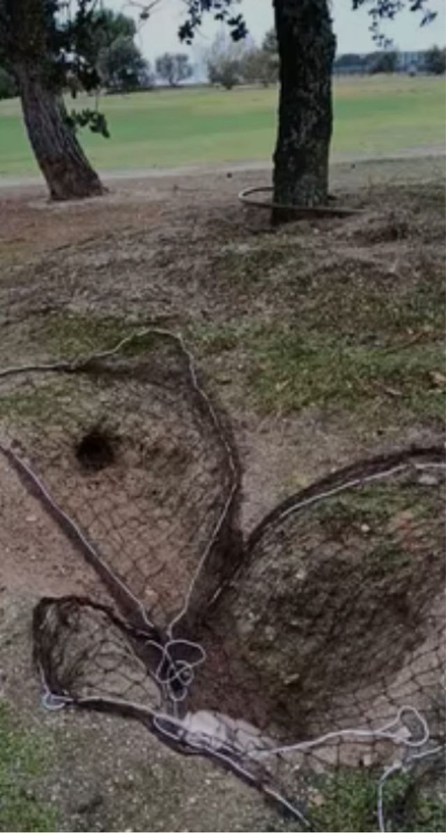 Redes para cazar conejos