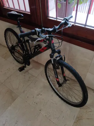Bicicleta de montaña