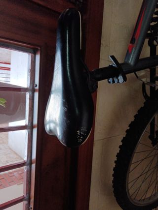 Bicicleta de montaña