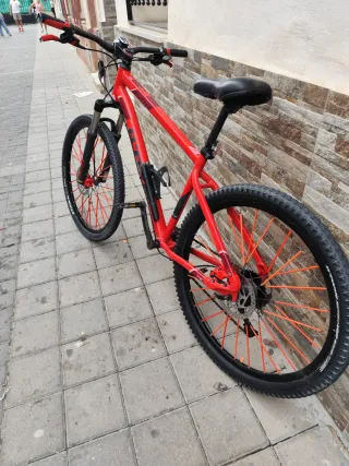 Bicicleta 