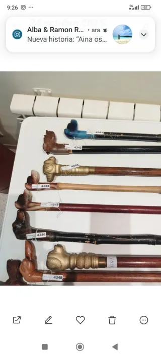 Bastones con perro precio unitario