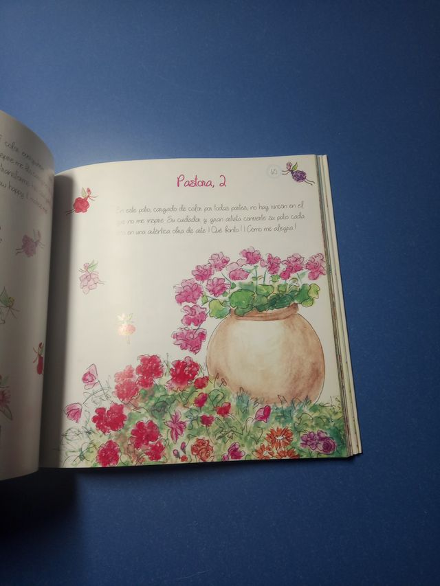 El color en los patios de Córdoba