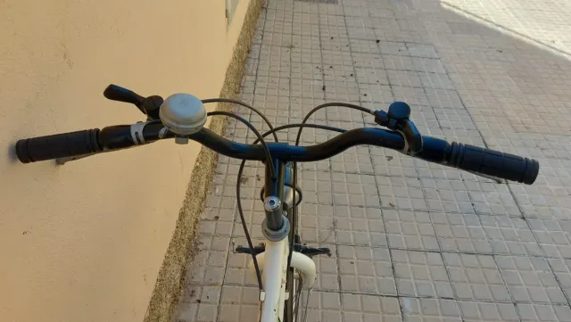 Bicicletta Trek Ride da donna