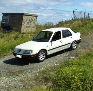 Peugeot 309 1992