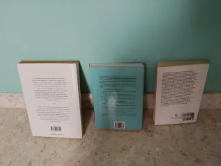 CAMINO DEL CORAZON CONSCIENTE,EL