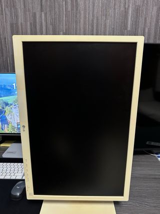 Monitor LG Beige 22MB65