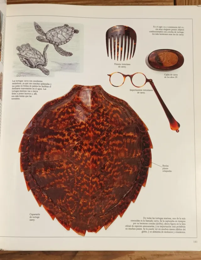 ENCICLOPEDIA VISUAL DE LOS SERES VIVOS