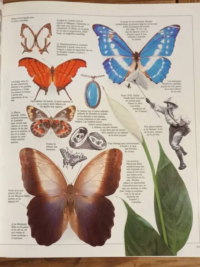 ENCICLOPEDIA VISUAL DE LOS SERES VIVOS