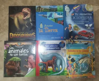 Lote de libros 