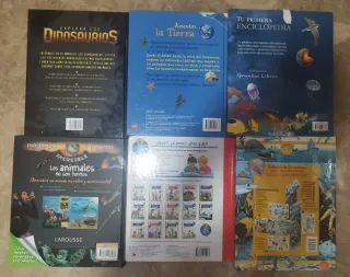 Lote de libros 