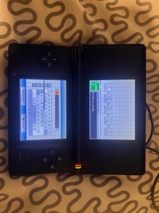 Lote Nintendo 2 DS Lite + DS + Juegos