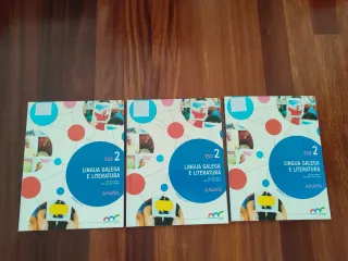 Lingua Galega e Literatura 2ESO 9788469810484