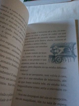 Verdadeira historia da mosca da tele, a