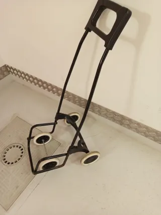 Carro de la compra plegable