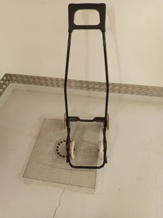 Carro de la compra plegable