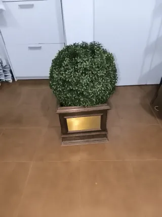 Planta decorativa bola con base madera