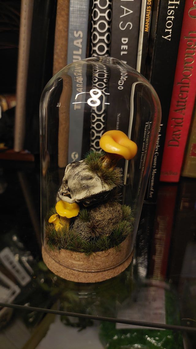 Cúpula Decorativa Caveira Miniatura Cogumelos