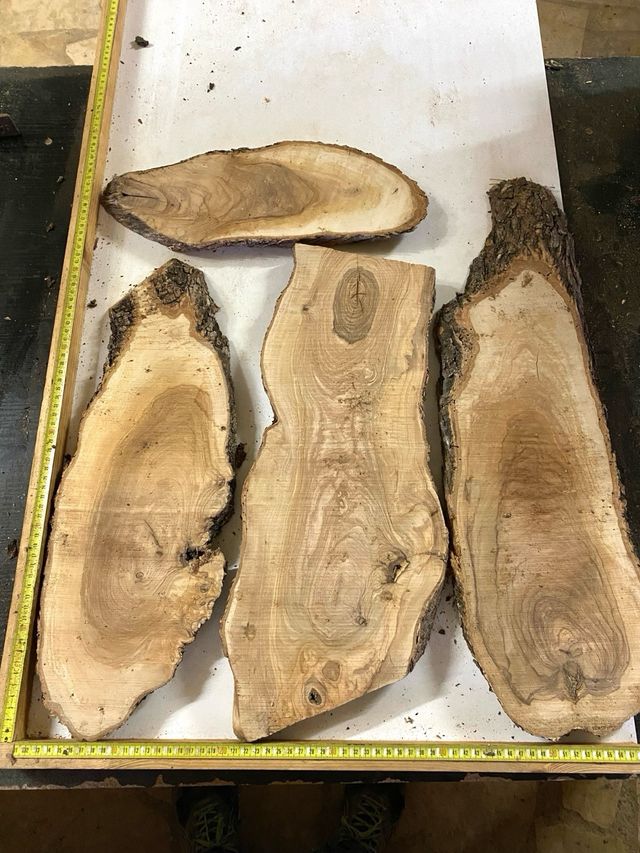 1x Madera de olivo en bruto
