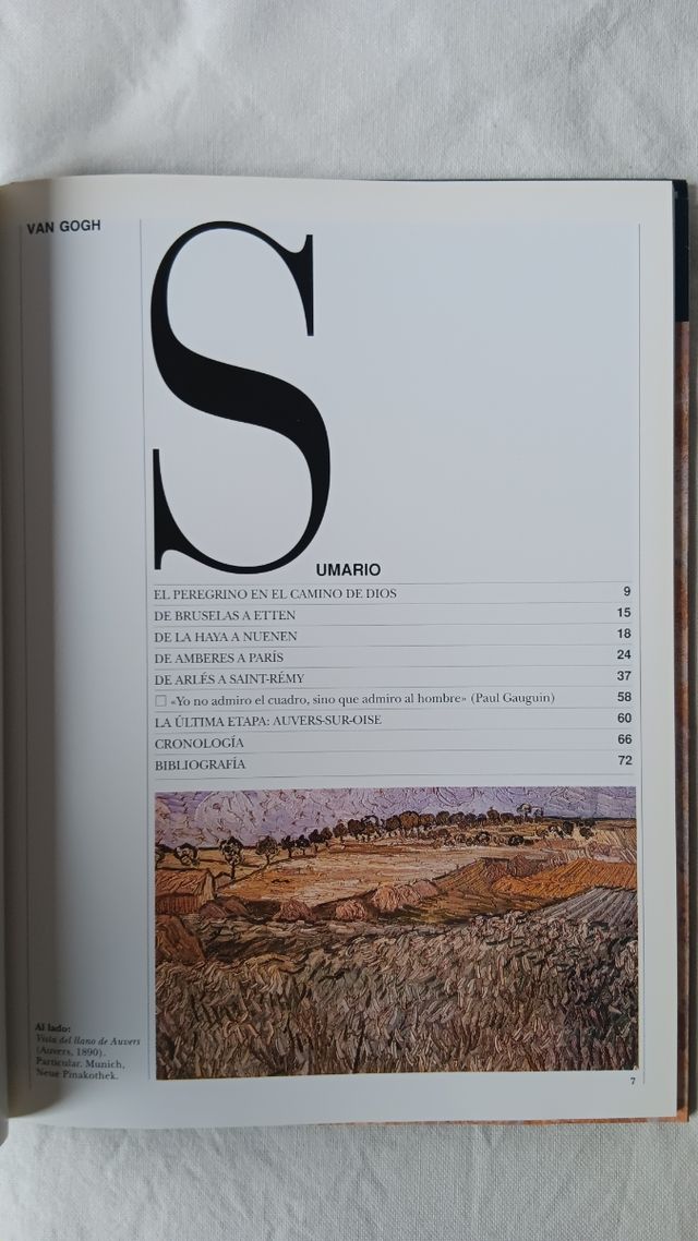 Van Gogh y Renoir - El Impresionismo