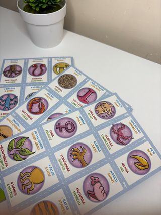 Pack 2 libros “ADINA-4 Agencia de Investigacion”