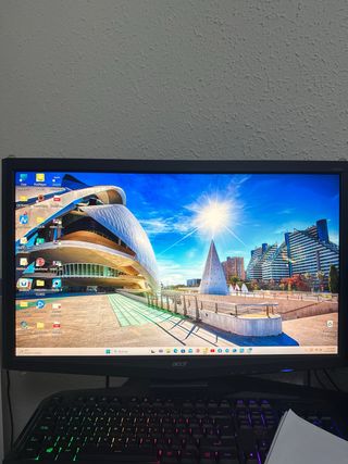 Monitor Acer LCD 24 Negro