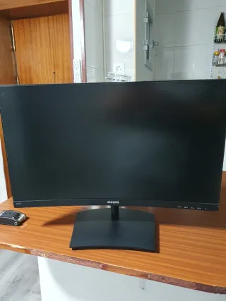 Monitor Philips 241E Negro