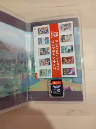 The Legend of Zelda: Echoes of Wisdom Switch