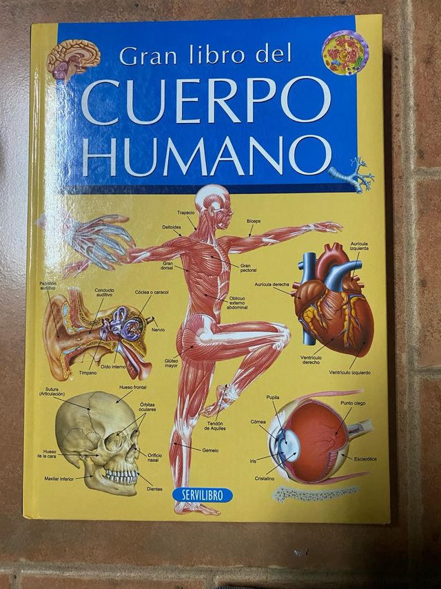 Gran libro del Cuerpo Humano. 