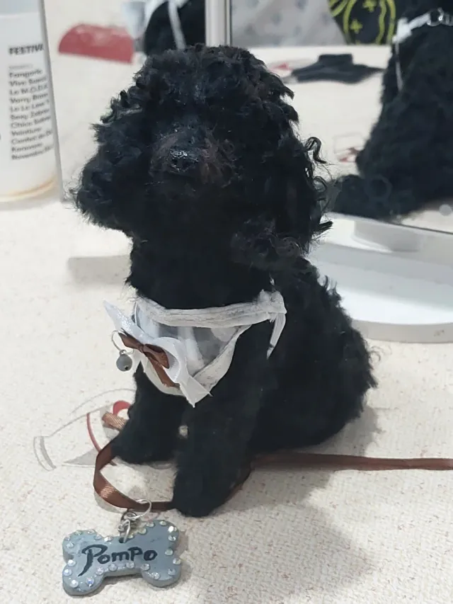 Figura personalizada perro